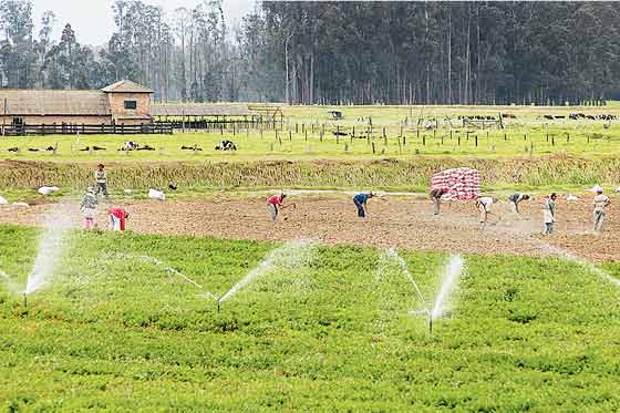 largest irrigation system of world in Pakistan